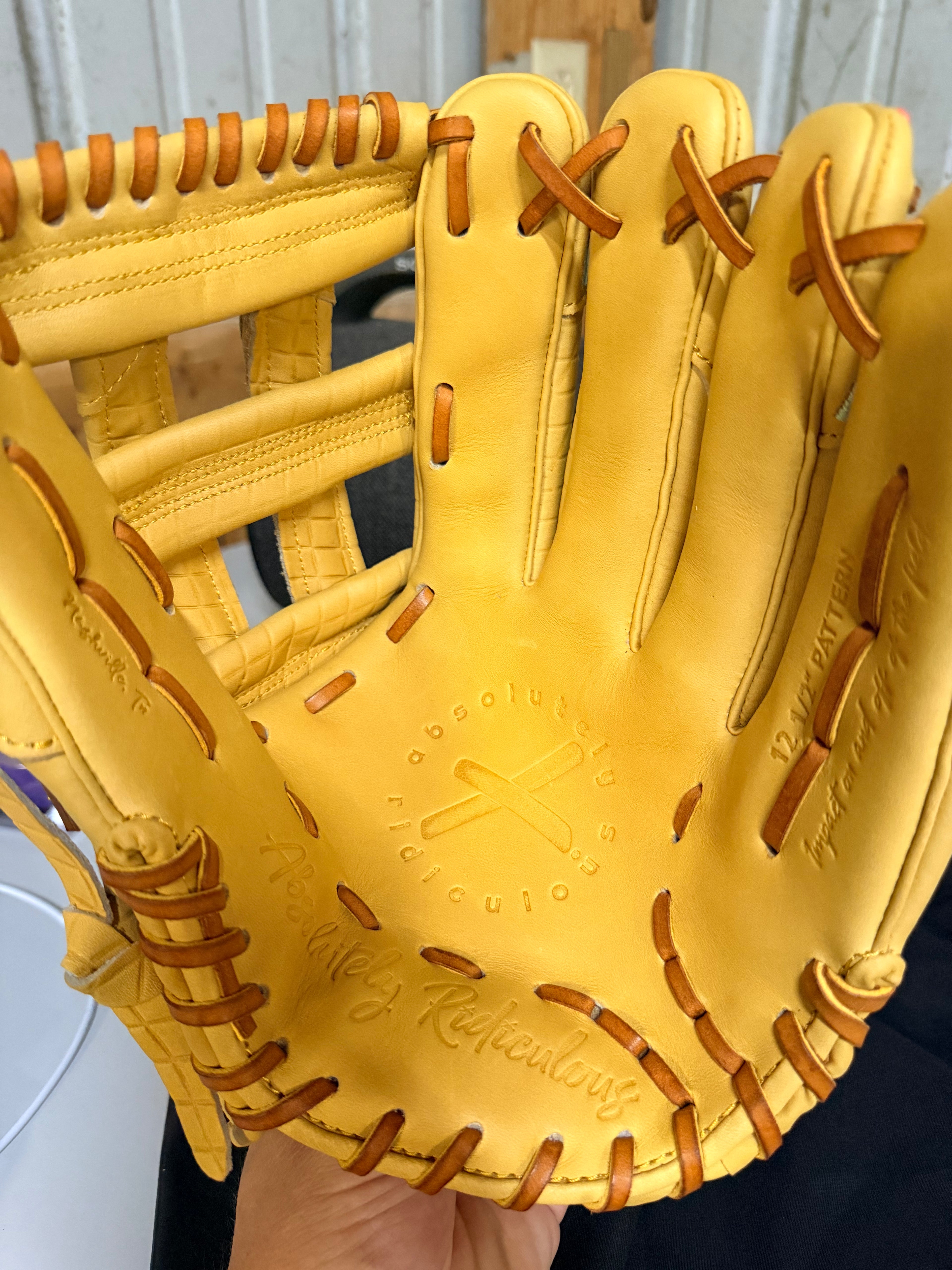 Absolutely Ridiculous 12.5 Glove