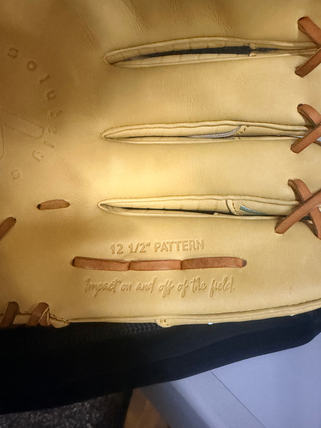 Absolutely Ridiculous 12.5 Glove